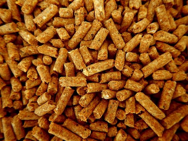 Pellets din : guide pour choisir des granulés de qualité optimale